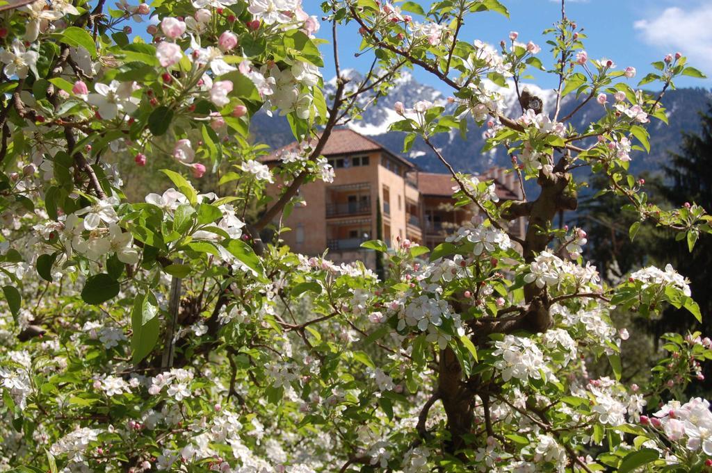 Appartementhaus Am Waalweg Rifiano Εξωτερικό φωτογραφία